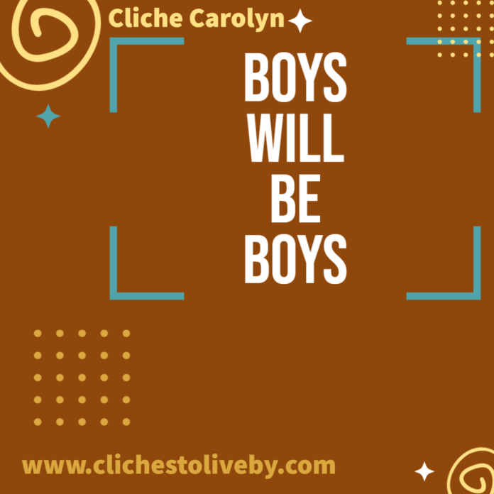 Dr. Carolyn Lee's blog post about the cliché, boys will be boys.