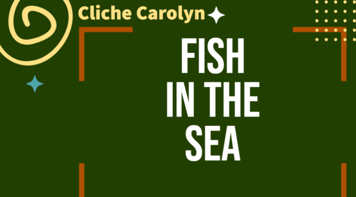 Plenty More Fish in the Sea