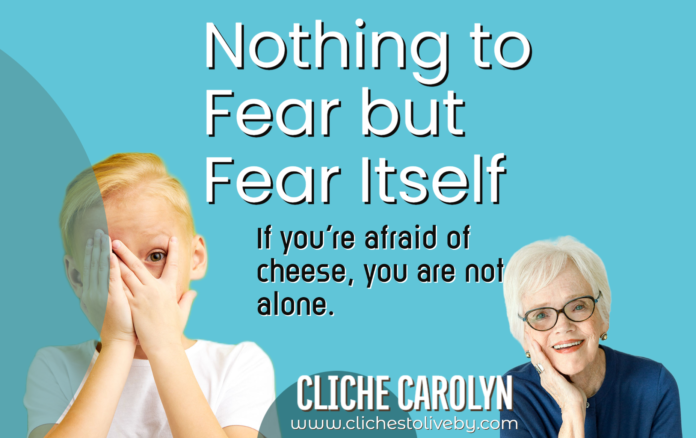 Nothing to Fear but Fear Itself- A Blog Post by Dr. Carolyn Lee