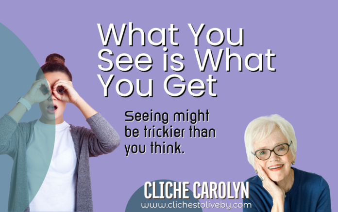 What You See is What You Get- A Blog Post by Dr. Carolyn Lee