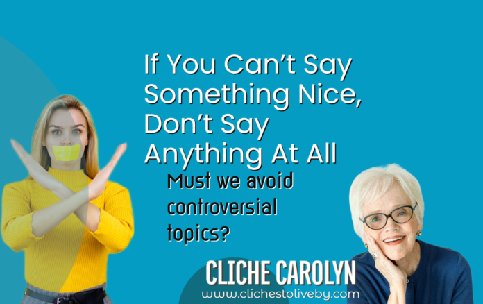 If You can't Say Something Nice, Don't Say Anything at All- A blog by Carolyn Lee
